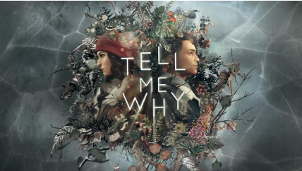 Steam喜加一：冒险解谜游戏《Tell Me Why》国区入库+汉化教程攻略